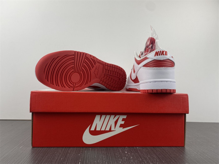 Nike Dunk Low Championship Red (2021) DD1391 600