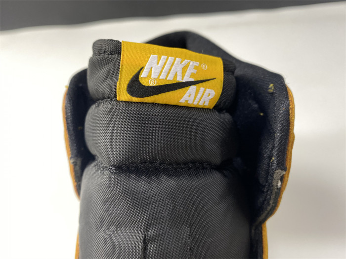 Air Jordan 1 Pollen 555088-701