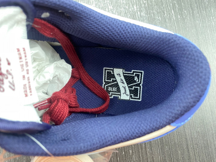 Nike Dunk Low From Nike To You FV8113-141