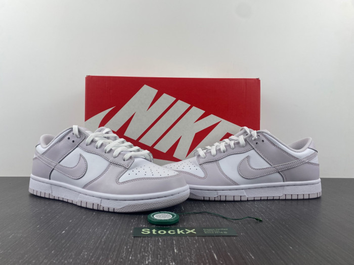 Nike Dunk Low Venice DD1503-116