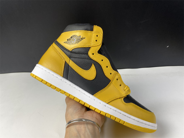 Air Jordan 1 Pollen 555088-701