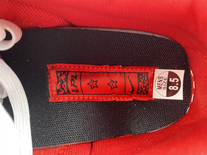 Nike Dunk Low LPL League of Legends DO2327-011
