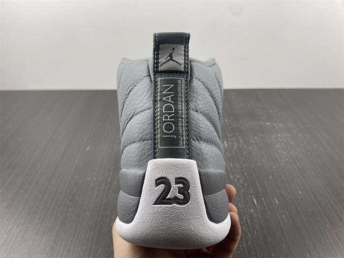 Air Jordan 12 Stealth CT8013-015