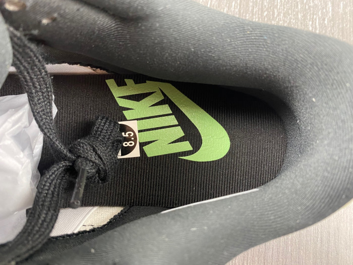Nike Dunk Low Disrupt 2 Just Do It Snakeskin (W) DV1490-161