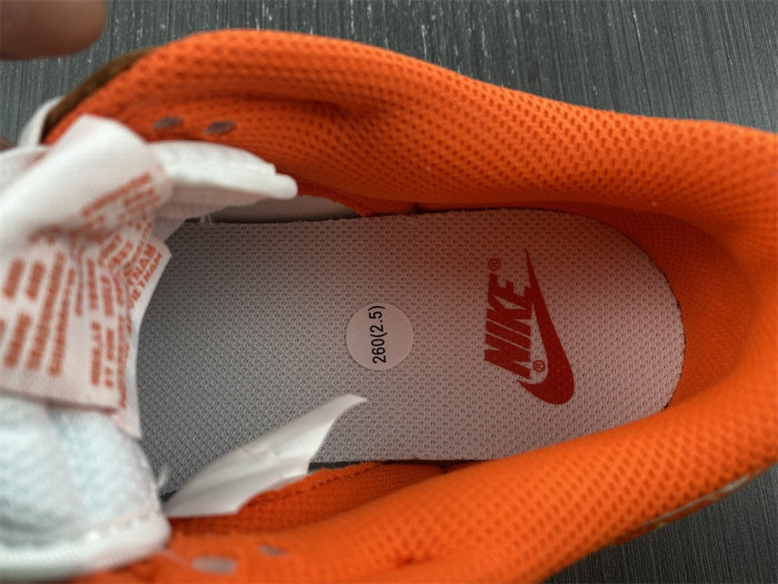 Nike Dunk Low Essential Paisley Pack Orange DH4401-103