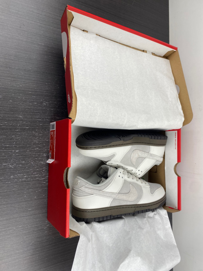 Nike Dunk Low Ironstone FD9746-001