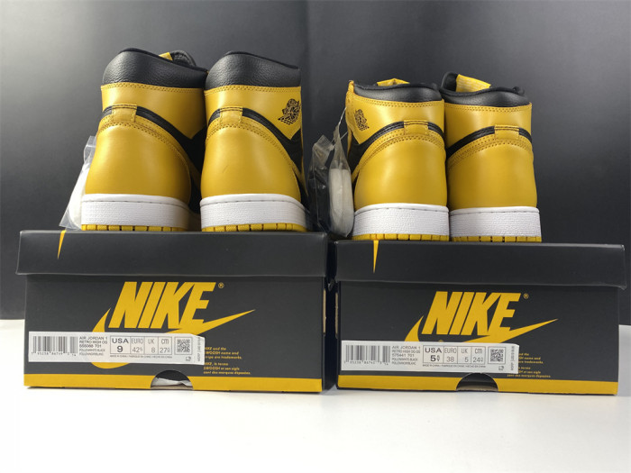 Air Jordan 1 Pollen 555088-701