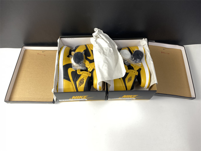 Air Jordan 1 Pollen 555088-701