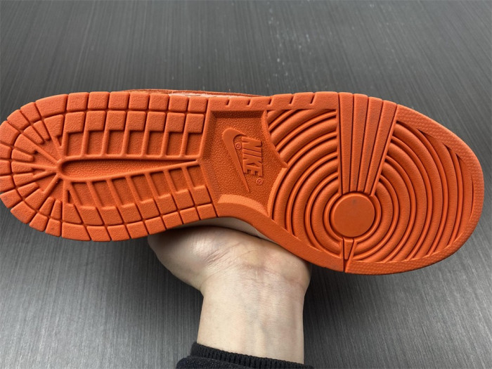 Nike Dunk Low NH Winter Solstice DO6723-800