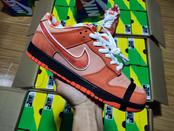 Concepts x Nike SB Dunk Low “Orange Lobster” FD8776-800