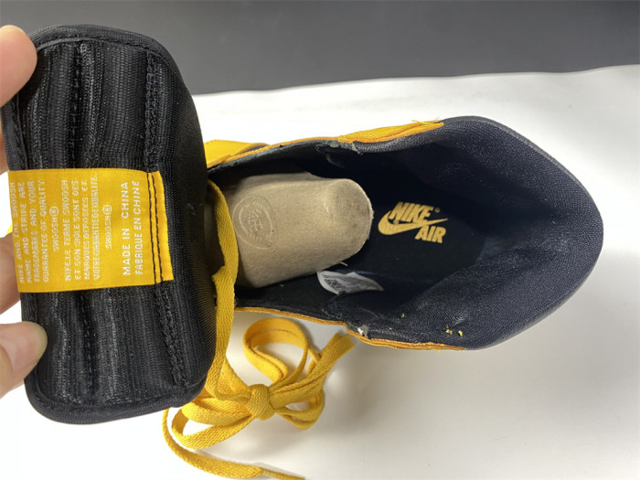 Air Jordan 1 Pollen 555088-701