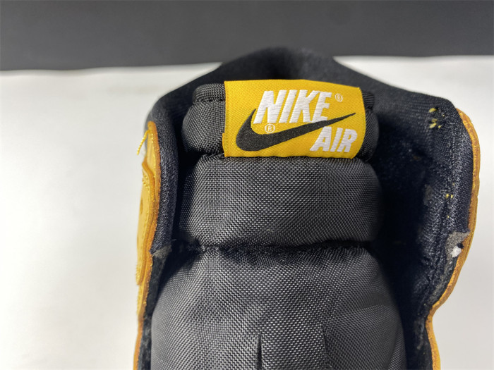 Air Jordan 1 Pollen 555088-701