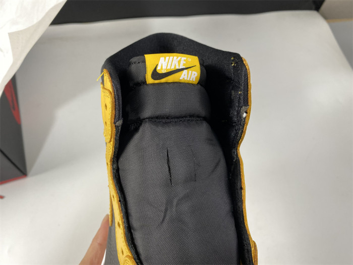 Air Jordan 1 Pollen 555088-701