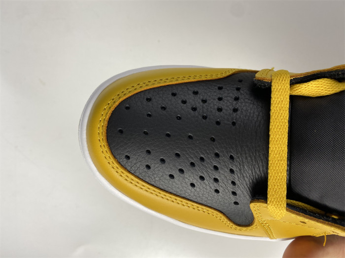 Air Jordan 1 Pollen 555088-701