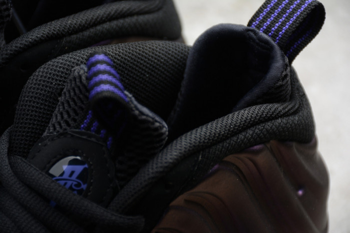 Air Foamposite One Eggplant (2017) 314996-008