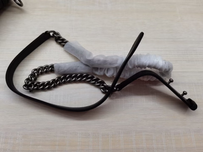 Chanle BAG