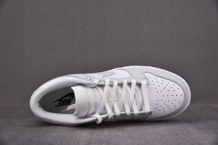 Nike Dunk Low "Photon Dust" DD1503-103