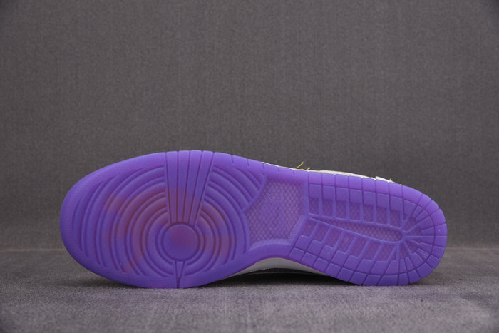 Nike Dunk Low Union Passport Pack Grey Purple DJ9649-500