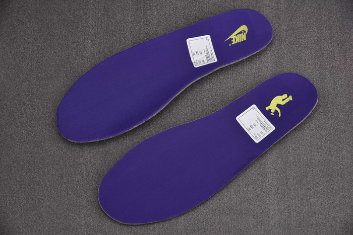 Nike Dunk Low Union Passport Pack Grey Purple DJ9649-500