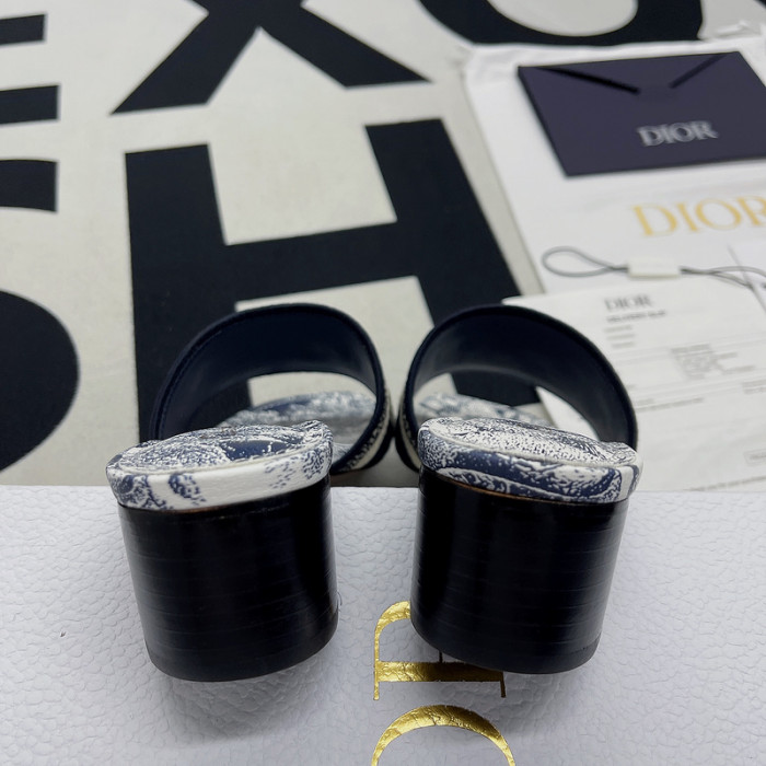 D10R slides