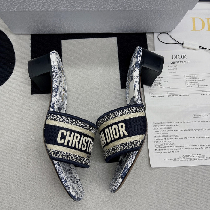 D10R slides