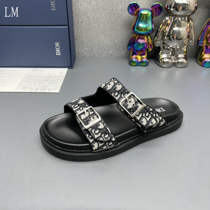 D10R slides