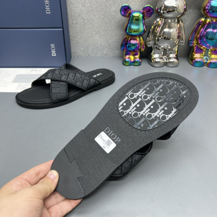 D10R slides