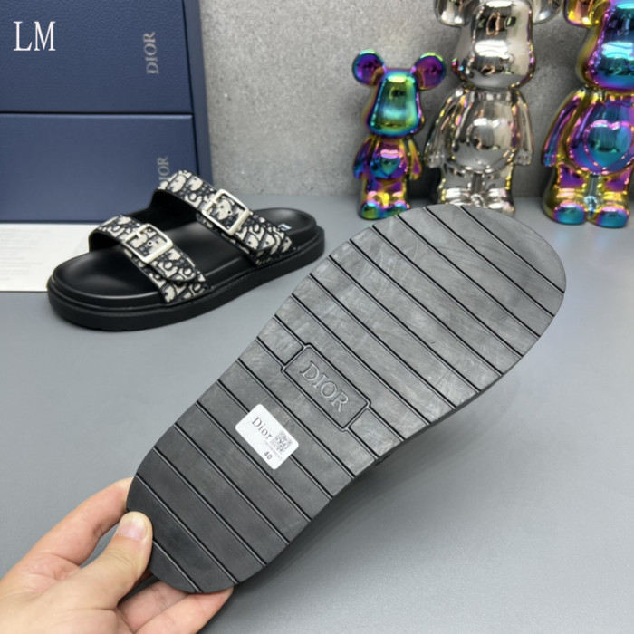 D10R slides