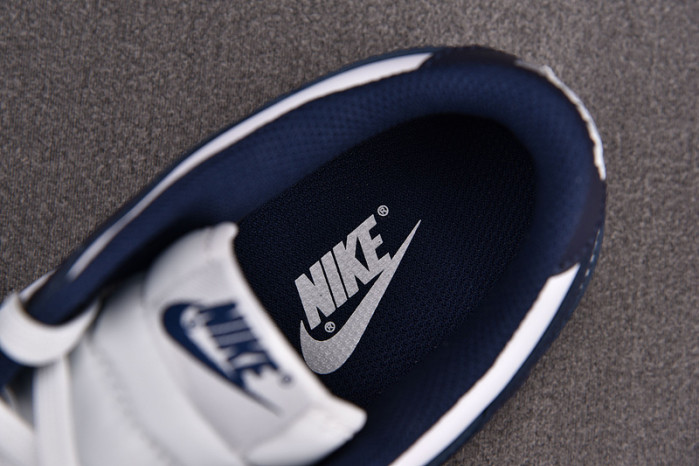 Nike Dunk Low Vintage Navy (W) DD1503-115