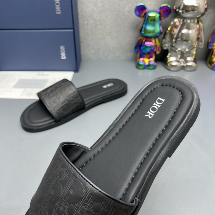 D10R slides