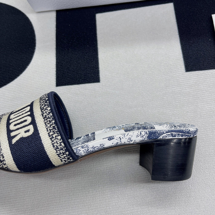D10R slides