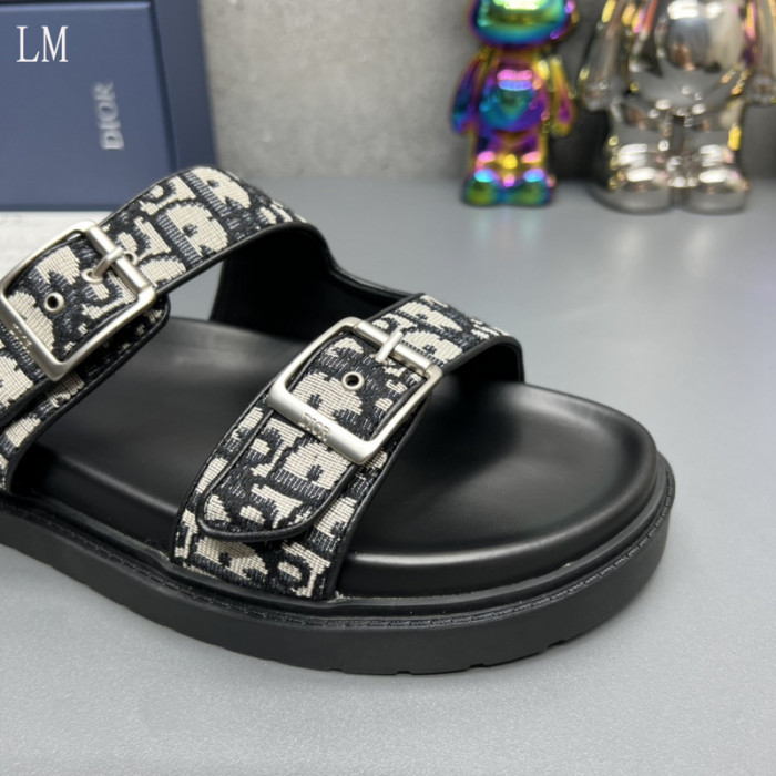 D10R slides