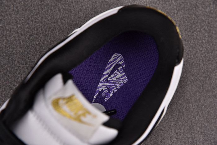 Nike Dunk Low World Champ DR9511-100