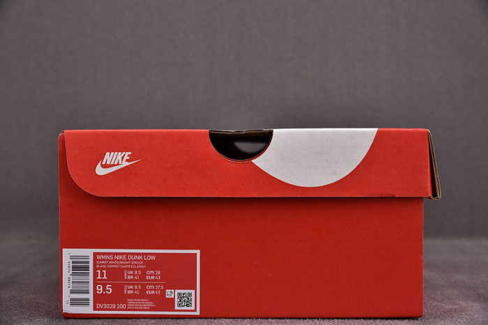 Nike Dunk Low Ocean (W) DV3029-100