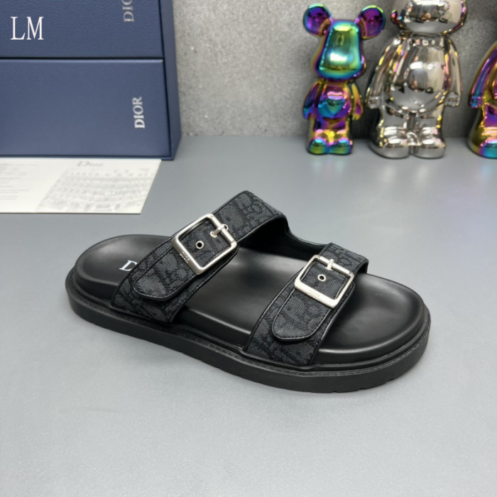 D10R slides