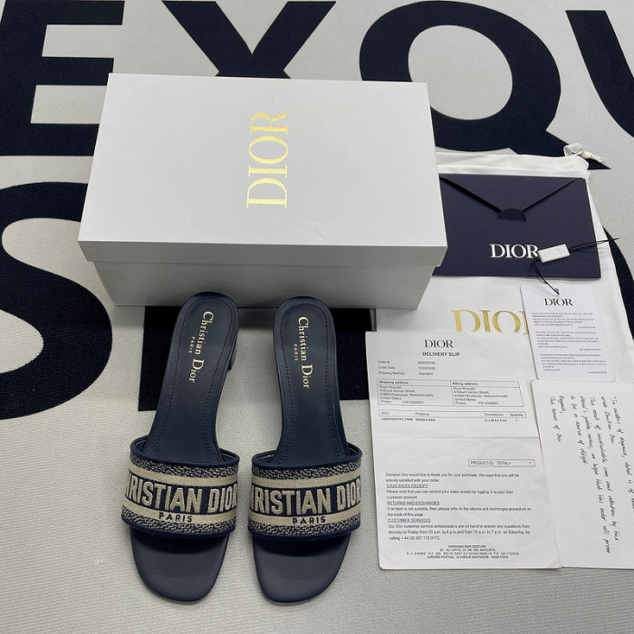 D10R slides