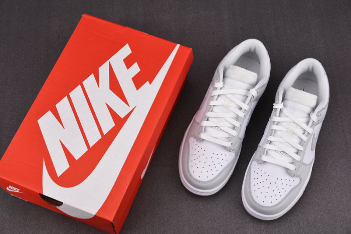 Nike Dunk Low "Photon Dust" DD1503-103