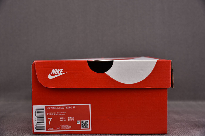 Nike Dunk Low World Champ DR9511-100