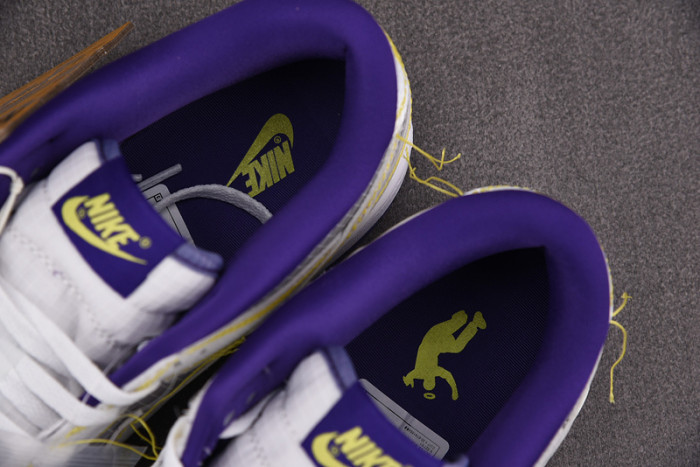 Nike Dunk Low Union Passport Pack Grey Purple DJ9649-500