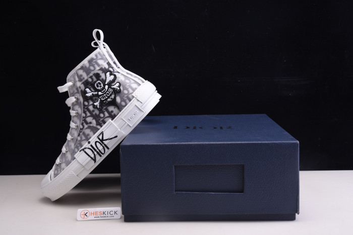 D10R B23 Oblique High Top Sneakers