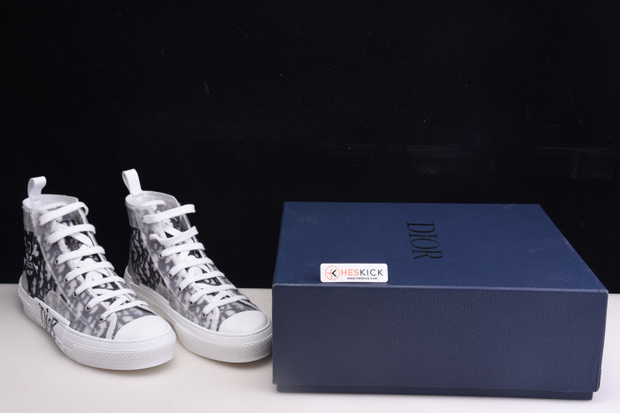 D10R B23 Oblique High Top Sneakers