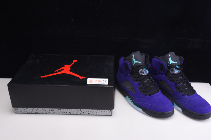 Air Jordan 5 Retro Alternate Grape 136027-500